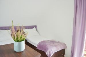 Łóżko lub łóżka w pokoju w obiekcie Apartamenty Wilcza Knieja