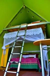 a bunk bed in a green room with a ladder at Mundo Abu San Juan La laguna in San Juan La Laguna