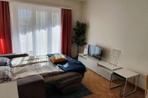 a bedroom with a bed and a tv and a window at Apartment via San Carlo in Muralto-Locarno in Muralto