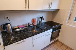 Kuchyň nebo kuchyňský kout v ubytování Apartment via San Carlo in Muralto-Locarno
