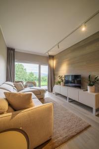 ein großes Wohnzimmer mit einem Sofa und einem TV in der Unterkunft Apartament Świeradowiec MountainAparts in Świeradów-Zdrój