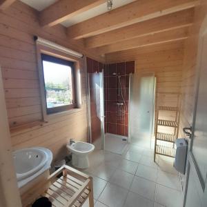 W łazience znajduje się toaleta, umywalka i prysznic. w obiekcie Le gîte Pierre et Bois w mieście Houffalize
