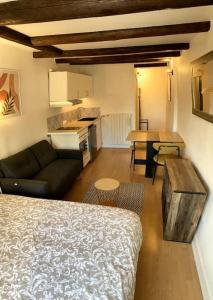 a room with a bed and a kitchen and a table at Confortable studio centre ville in Nancy