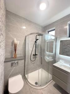 uma casa de banho com um chuveiro, um WC e um lavatório. em Quiet self-catering holiday home with surrounding lakes em Bailieborough
