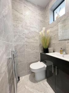 a bathroom with a toilet and a sink at Quiet self-catering holiday home with surrounding lakes in Bailieborough