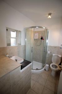 a bathroom with a shower and a toilet and a sink at A spacious and well equipped 4 bedroom house in Portsmouth