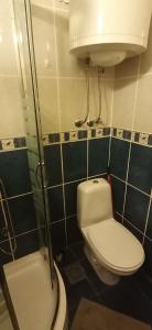 La salle de bains est pourvue de toilettes, d'un lavabo et d'une douche. dans l'établissement Happy moment Niš, à Niš