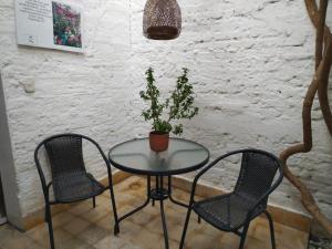 a glass table with two chairs and a potted plant at HOSTEL LA CASA DE PETRA in Santa Marta