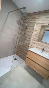 艾姆布里亞布拉瓦的住宿－Maison Bella，一间带水槽和淋浴的浴室