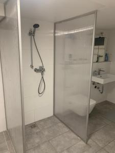 a shower with a glass door in a bathroom at Nice Calm Souterrain Appertment in Ratingen in Ratingen