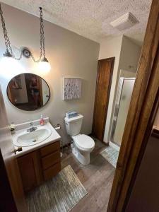 ein Badezimmer mit einem WC, einem Waschbecken und einem Spiegel in der Unterkunft A great house by Fonner Park in Grand Island
