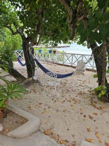 a hammock on the beach under two trees at Beachfront Luxe Apt in Runaway Bay