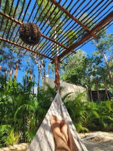 Jardí fora de Apartment with private pool Tulum