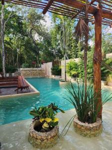 Piscina a Apartment with private pool Tulum o a prop