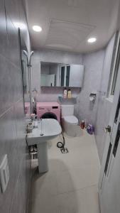 Baño pequeño con lavabo y aseo en Pavilla city 401 two bedroom house en Busan