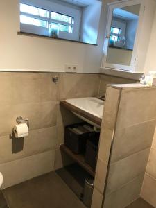 a bathroom with a sink and a mirror at Wohnung mit eigenem Zugang in Hochdorf