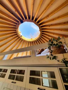 Fotografia z galérie ubytovania Jurty Glamping v destinácii Gostynin