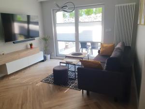 TV/trung tâm giải trí tại Apartament Stacja Wisła