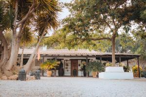 a house with palm trees in front of it at LA CUADRA, Finca a los pies de Sierra Nevada, a 10 minutos del centro, Piscina, Jardín, Barbacoa in La Zubia