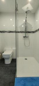 La salle de bains est pourvue d'une douche, de toilettes et d'une porte en verre. dans l'établissement Ile du Ponant, à Ploemeur