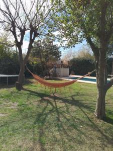 Κήπος έξω από το Cabaña los Aromos +18 φωτογραφίες