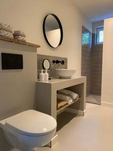 een badkamer met een toilet, een wastafel en een spiegel bij Stijlvol huisje met veranda! Tuynloodz C in Beers