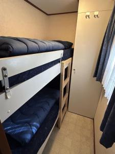 a couple of bunk beds in a small room at Vakantiepark Klein Vink - 198 in Arcen