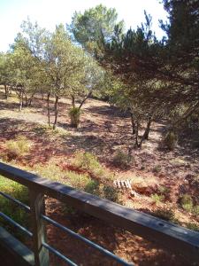 Paesaggio naturale nelle vicinanze del bed & breakfast