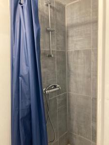 um chuveiro com uma cortina de chuveiro azul na casa de banho em La Villa sur le toit em Lourdes