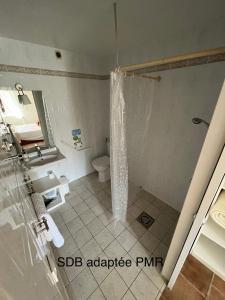 a bathroom with a shower and a toilet and a sink at Chambre d'hôte Les Murailles in Auterive