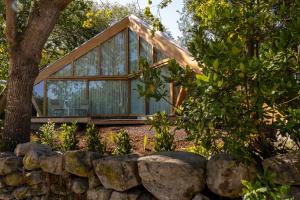 a glass house with a tree and a stone wall at Cabañas de Xarás, Mimosa in Marín