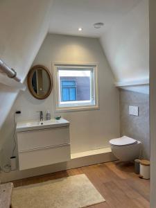 een badkamer met een wastafel, een toilet en een raam bij Het Heertje in Den Hoorn