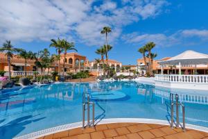 a large swimming pool at a resort with palm trees at Home2Book Modern Design Seaview Apt, Pool&Terrace in Playa de las Americas