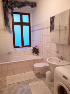 a bathroom with a toilet and a tub and a sink at Zum Senckenberg in Görlitz