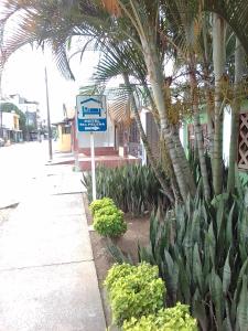 a blue street sign next to a palm tree at Hotel Santa Helena in Leticia