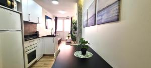 a kitchen with a table with a potted plant on it at Oshun Plaza Castilla in Madrid