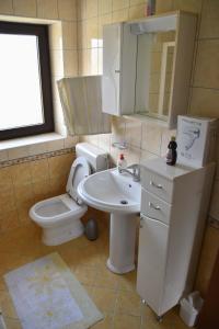 a bathroom with a sink and a toilet and a mirror at Apartman Zdenka in Livno
