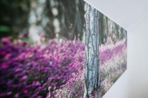 Zahrada ubytování Eko hiša-Eco House Na razpotju