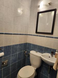 een badkamer met een toilet en een wastafel bij Tesa in Novi Beograd