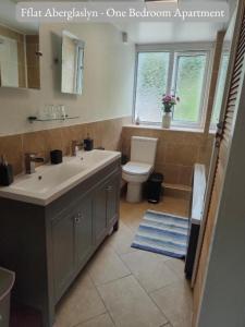 a bathroom with a white sink and a toilet at Llew Accommodation - The Townhouse in Beddgelert
