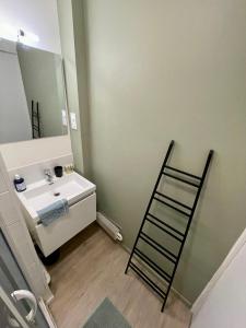 La salle de bains est pourvue d'une échelle et d'un lavabo. dans l'établissement Appartement 3 chambres - Proche Dock 76 - 128, à Rouen