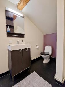 庫奧皮奧的住宿－Possakkatupa，一间带卫生间、水槽和镜子的浴室