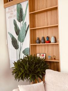 a living room with a plant next to a book shelf at Basic Guest House Hải Phòng in Hai Phong