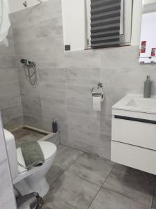 bagno con servizi igienici e lavandino di Vila ANA a Cluj-Napoca