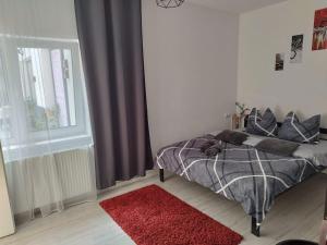 una camera da letto con un letto con un tappeto rosso e una finestra di Vila ANA a Cluj-Napoca