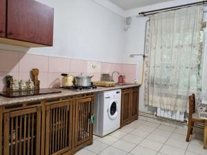 AshtarakにあるStar Apartment Econom in Ashtarak, Mughniのキッチン(コンロ、洗濯機付)