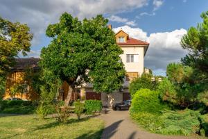 ein Haus mit einem Baum vor einer Einfahrt in der Unterkunft MooToo Central Flat One in Timişoara