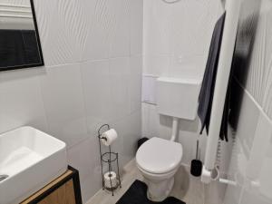 a white bathroom with a toilet and a sink at Schmidt Apartman Miskolc Belvárosában in Miskolc