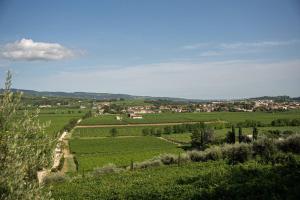 vistas a un campo verde con casas a lo lejos en Monolocale Moderno Valpolicella Verona - Vayu, en San Pietro in Cariano