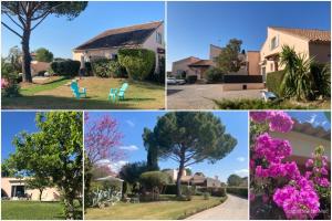 a collage of pictures of a house and a tree at Les Bougainvillées de Camargue in Villetelle